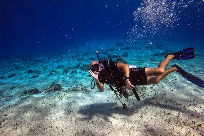 1 Tank Guided Shore Dive Including Equipment - Where This Cozumel Shore Scuba Fits in Your Day