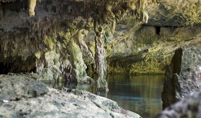 2 cenote divings (including one deep diving) for advanced divers in Tulum - Key things to know before you go