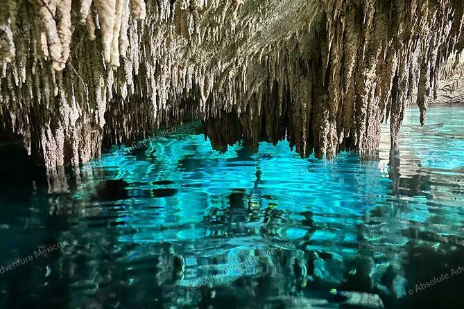 2 Cenotes Private Tour – VIP Adventure with Expert Guide - Stop 1: Cenote Nicte-ha for snorkeling that starts easy