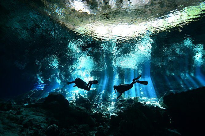 2 dives in Cenote Dos ojos Certified Divers - Key highlights worth caring about