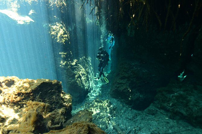 2 dives in Cenote Dos ojos Certified Divers - Your 5-hour schedule: from 8:30 am meet-up to two underwater sessions