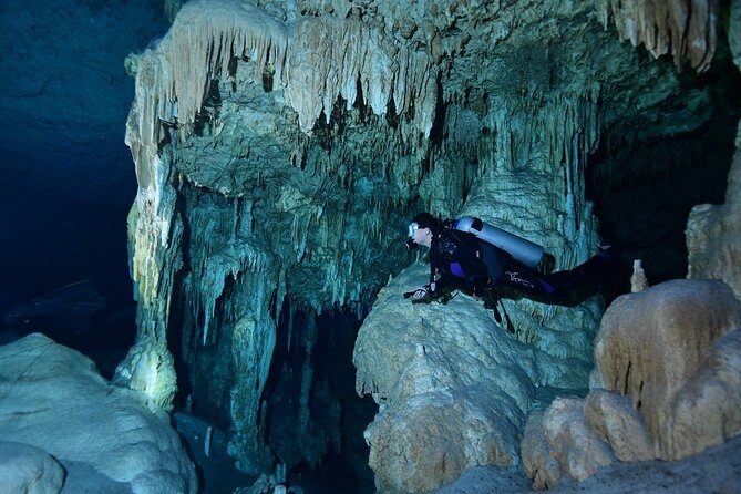 2 dives in Cenote Dos ojos Certified Divers - Transport, lunch, and the “small-group” difference you’ll feel