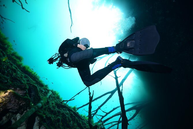 2 dives in Cenote Dos ojos Certified Divers - Price and value: what $200 includes (and what to budget for)