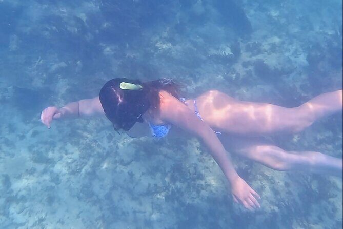 2-Hour Snorkeling in Two Spots of Tulum's Reef - Stop Two Reef Fish: Coral, Color, and the Day-Dependent Look
