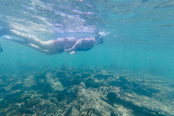 2-Hour Snorkeling in Two Spots of Tulum's Reef - Guides and Gear: Feeling Safe Without Killing the Fun