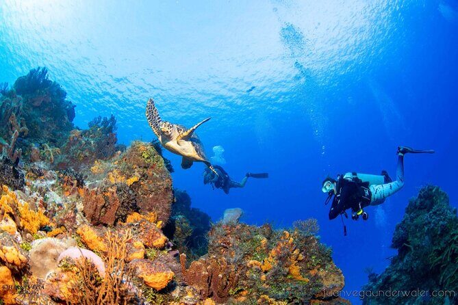 2 Tank Cozumel Reef Boat Dives - The boat ride + snack interval: a small comfort that adds up