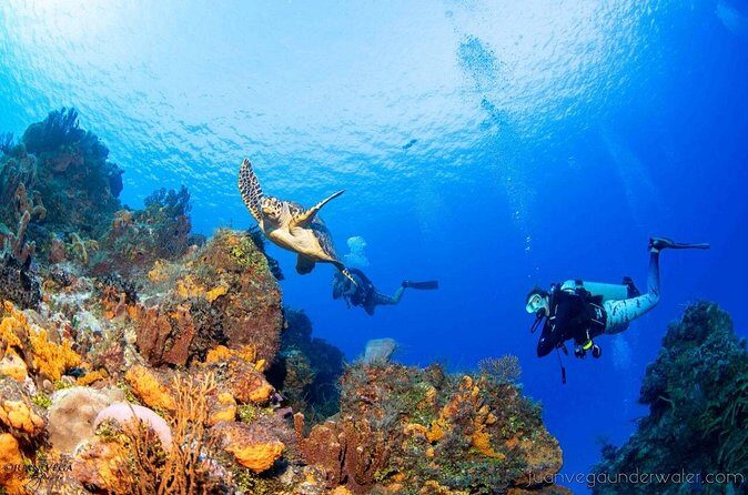 2 Tank Cozumel Reef Boat Dives - Who this reef boat day suits best