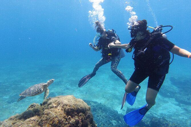 2 Tank Cozumel Reef Boat Dives - Palancar Reef as your first stop: why that order helps