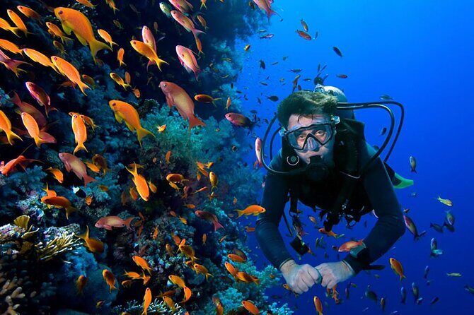 2 Tank Dive in Cozumel - Check-In at Aqua Excursions: Where the Day Starts Under Control