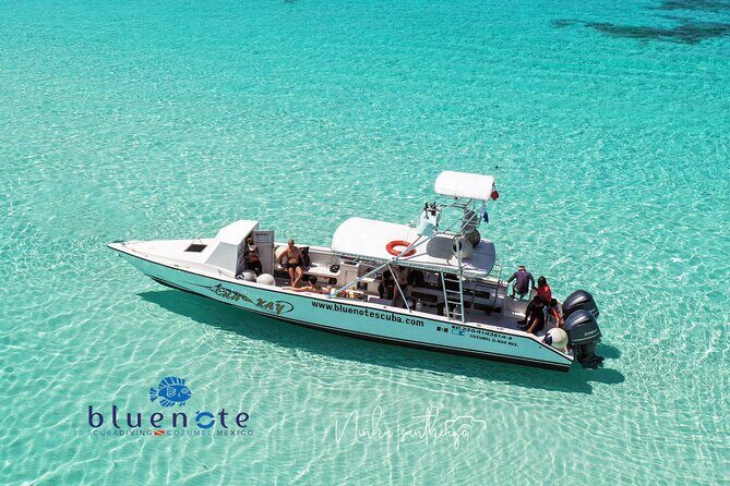 2 Tank Morning Dive: Scuba Diving in Cozumel - Key things I’d plan around