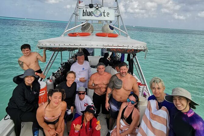 2 Tank Morning Dive: Scuba Diving in Cozumel - Second reef energy: San Clemente Reef style sightings