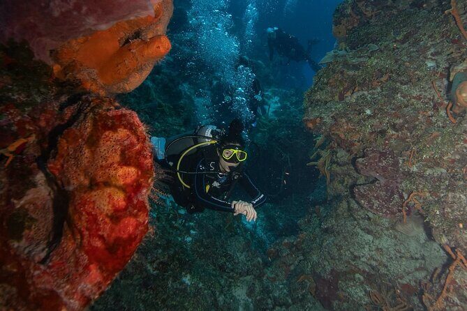 2 Tank Morning Dive: Scuba Diving in Cozumel - Getting to the marina: taxi, walking, and how early you should go