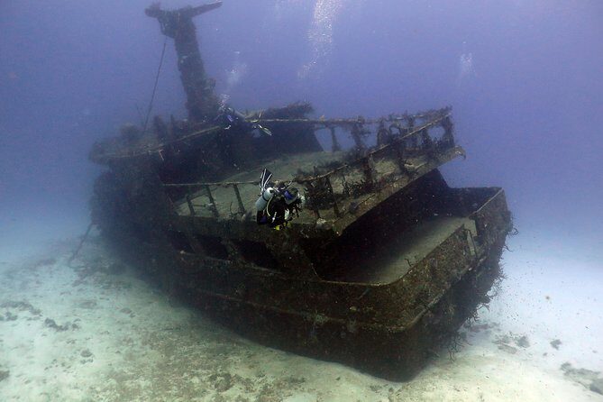 2-Tank Morning or Afternoon Dives in Playa del Carmen certified Divers Only - Guides, Safety, and Small-Group Attention: Where This Company Seems to Win