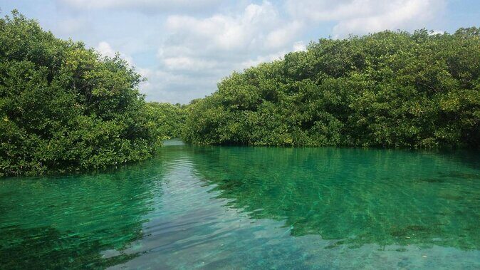 2 tanks Cenote Diving Adventure in Tulum for Certified Divers - Key Highlights You’ll Feel Immediately