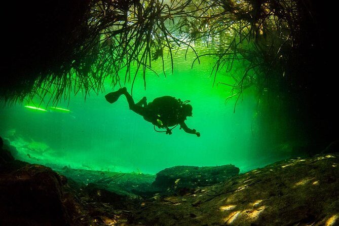 2 tanks Cenote Diving Adventure in Tulum for Certified Divers - Price and Value: What $200 Really Covers Here