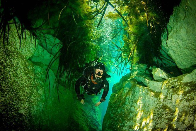2 tanks Cenote Diving Adventure in Tulum for Certified Divers - Stop 1: Casa Cenote and the 40-Minute Confidence Builder