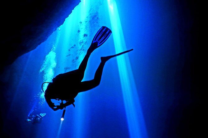 2 tanks Cenote Diving Adventure in Tulum for Certified Divers - Stop 2: Dos Ojos Cavern Session With Limestone, Bats, and Light Play