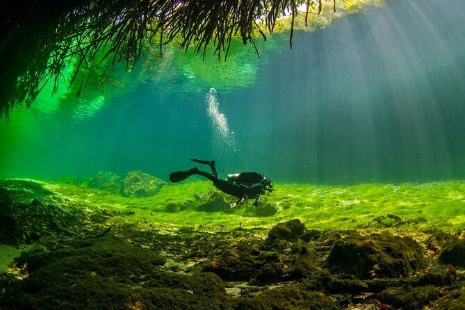 2 tanks Cenote Diving Adventure in Tulum for Certified Divers - Timing and Transportation: How the Day Stays Tight