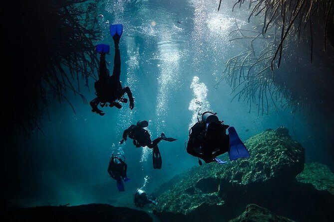 2 tanks Cenote Diving Adventure in Tulum for Certified Divers - Group Size, Coaching Style, and Why That Affects Your Safety