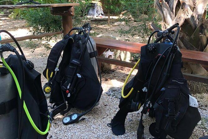 2 tanks Cenote Diving Adventure in Tulum for Certified Divers - Who This Experience Fits Best (and Who Should Skip It)