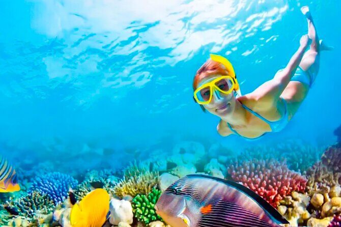 2x1 Tour: Isla Contoy, Isla Mujeres, Open Bar, Lunch and Transfers - Getting to Isla Contoy: snorkeling in protected waters