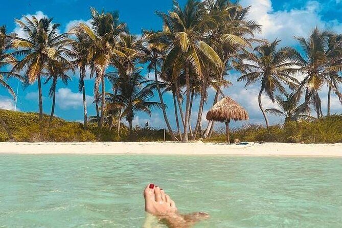 2x1 Tour: Isla Contoy, Isla Mujeres, Open Bar, Lunch and Transfers - Back to Isla Contoy: more time to swim and watch birds
