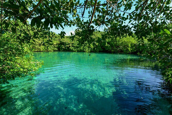 3 Cenote Dives - Casa & Dos Ojos - Fitness, Health Questions, and the Flying Rule