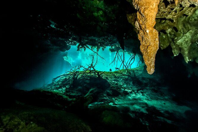 3 Cenote Dives - Casa & Dos Ojos - Who This Tour Fits Best