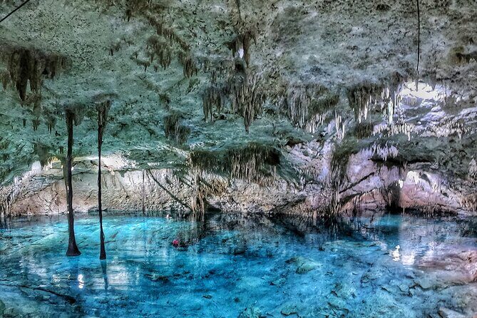 3 in 1 Private Tour Tulum Cenote and Snorkeling in the reef - Price and value: is $210 a fair deal for this mix?