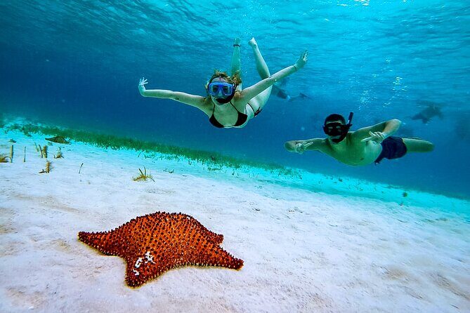 4 Hour Cozumel Reefs Snorkeling - Key points worth knowing before you go