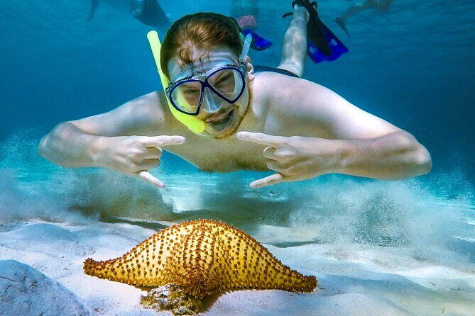 4 Hour Cozumel Reefs Snorkeling - Getting to Marina Cozumel and meeting on time
