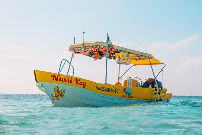 4 Hour Cozumel Reefs Snorkeling - El Cielo starfish snorkeling: when you want the wow-factor