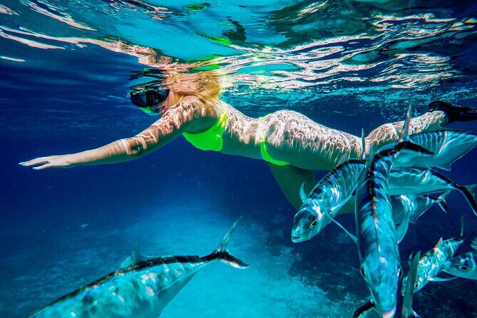 4 Hour Cozumel Reefs Snorkeling - Snacks and drinks: good bonus, but not everyone agrees on the portion