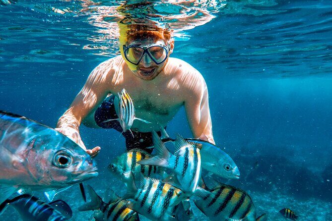 4 Hour Cozumel Reefs Snorkeling - What’s included for $65: gear, safety basics, and onboard comfort