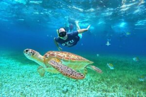 4 Hour Cozumel Turtle Sanctuary Experience on a Luxury Catamarán - How the crew and guide style keep you together in open water