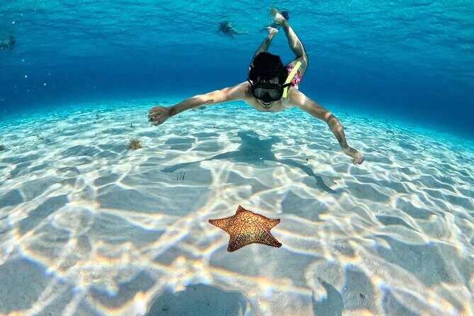 4 Hour Cozumel Turtle Sanctuary Experience on a Luxury Catamarán - Cielito (Little Heaven) sandbank: snacks, drinks, and stingray moments