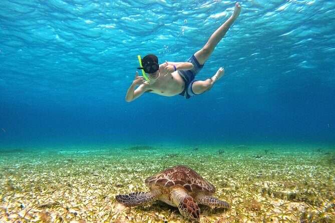 4 Hour Cozumel Turtle Sanctuary Experience on a Luxury Catamarán - Reef rules, sunscreen, and what to pack for a smooth day
