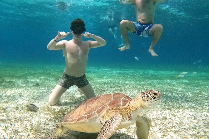 4 Hour Cozumel Turtle Sanctuary Experience on a Luxury Catamarán - Price and what you actually get for $77.50 plus fees