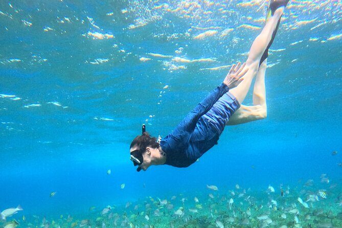 4 Hour Cozumel Turtle Sanctuary Experience on a Luxury Catamarán - Meeting point and timing: avoid ferry-terminal confusion