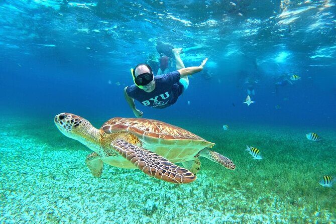 4 Hour Cozumel Turtle Sanctuary Experience on a Luxury Catamarán - How the crew and guide style keep you together in open water