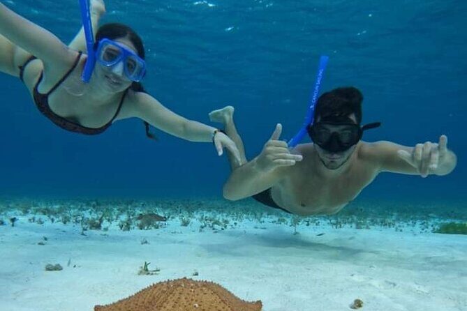 4 hours of shared snorkeling to El Cielo - Stop 1: Palancar Reef and the chance at bigger pelagic wildlife