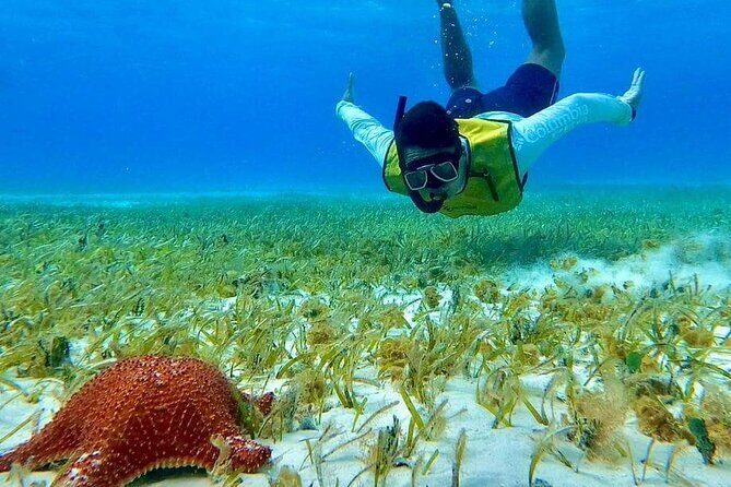 4 hours of shared snorkeling to El Cielo - Guides and safety: why the small group matters