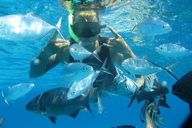 4 hours of shared snorkeling to El Cielo - Snorkeling gear and what to bring (so you’re not stuck guessing)