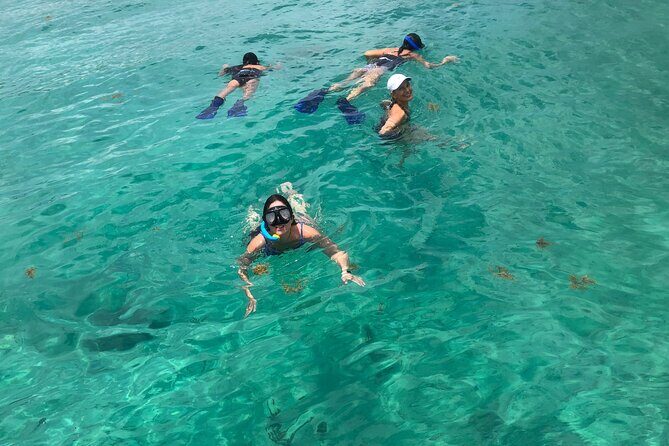 4 hours - Private 48ft Yacht all inclusive in Tulum and Playa del Carmen - The virgin beach stop near the reef: why this timing works