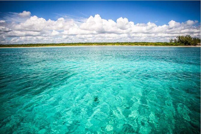 4H 42' Azimut Yacht All-Inclusive from Tulum & Playa del Carmen. - Optional troll fishing: a real activity, not just a side note