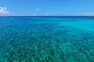 4H Luxury 44' Catamaran All-Inclusive in Tulum & Playa del Carmen - Price and Dock Fee: Where the Value Really Shows