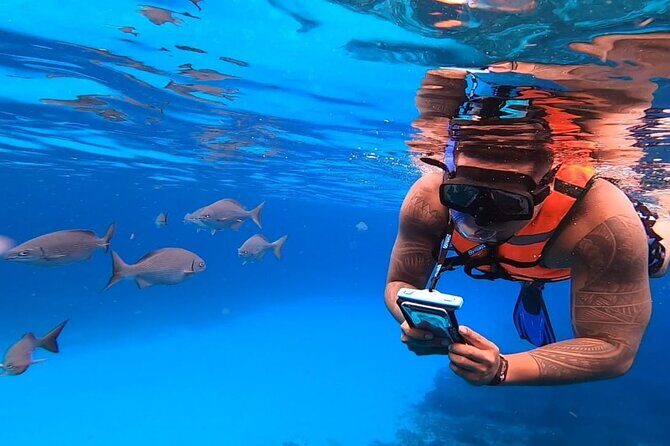 4H Luxury 44' Catamaran All-Inclusive in Tulum & Playa del Carmen - In-Ha Reef Snorkeling: Calm Water and Two Hours You Control