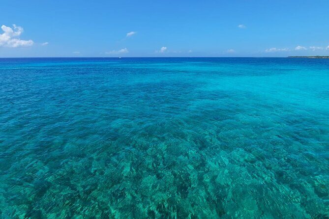 4H Luxury 44' Catamaran All-Inclusive in Tulum & Playa del Carmen - Price and Dock Fee: Where the Value Really Shows