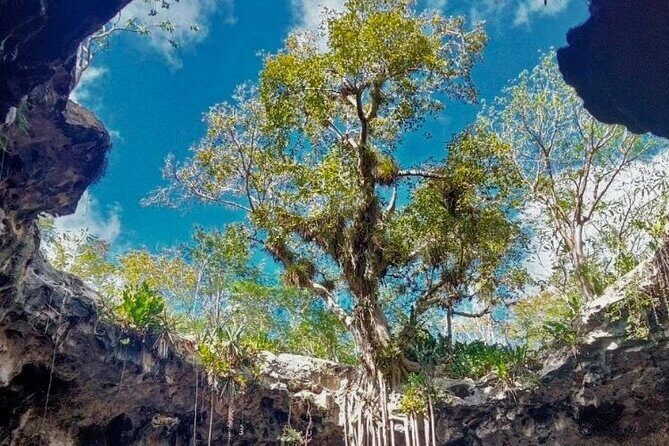 5-Day Riviera Maya and Yucatan Tour, Mexico - When This Tour Fits Best (And When It Might Not)