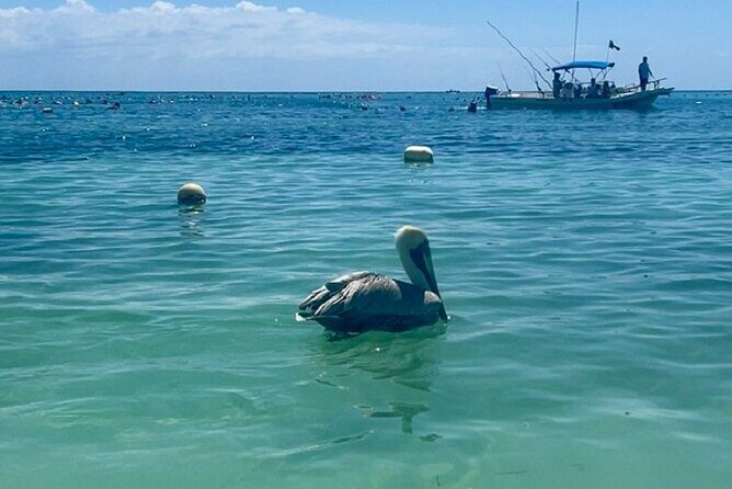 Akumal Bay snorkeling, plus 3 cenotes and great food - Between caves and swim stops: what the cenote timing really feels like